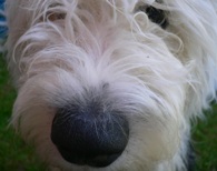 Alles muss man selber suchen ... 