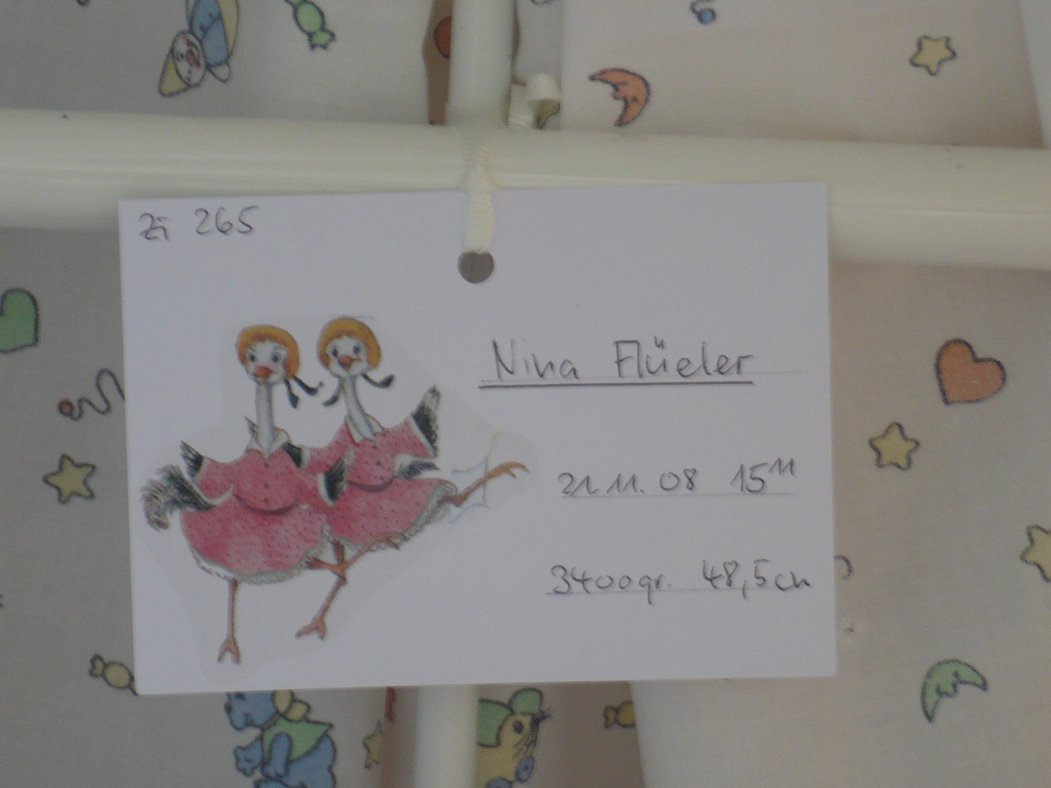 P1010665.JPG P1010665.JPG