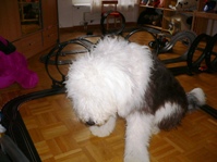 Spielen mit den Jungs