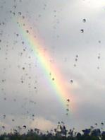 regenbogen
